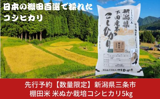先行予約 [数量限定] 棚田米 米ぬか栽培コシヒカリ5kg 新潟県 三条市 下田産 こしひかり 5kg 精米 白米 【014S086】