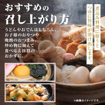 ふるさと納税 肝付町 老舗の味!さつま揚げ 平天セットB(中) (計50枚)　A10005 |  | 03