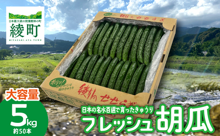 綾川の恵み「フレッシュ胡瓜（きゅうり）」5kg
