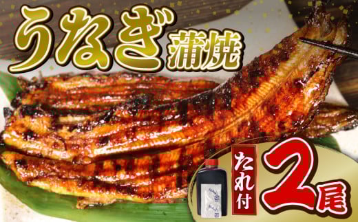 うなぎ 蒲焼 2尾 (140g×2)  蒲焼 鰻蒲焼 ウナギ かばやき 土用 丑の日  活鰻 自家製蒲焼 たれ 山椒 ギフト 贈答   冷蔵 まとめ買い 静岡県 藤枝 ふるさと人気