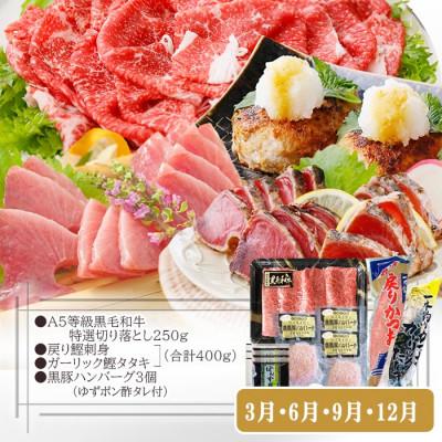 ふるさと納税 枕崎市 定期便(3回配送)　お楽しみバラエティー定期便 LL-6017 |  | 03