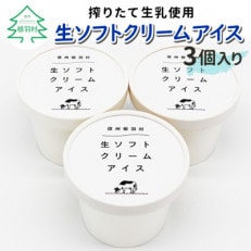 ふんわり軽いくちどけ　生ソフトクリームアイス　3個入り