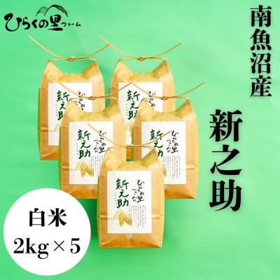 ふるさと納税 南魚沼市 【R8年産新米予約】きらめく大粒!ひらくの里ファームの南魚沼産新之助　白米2kg×5