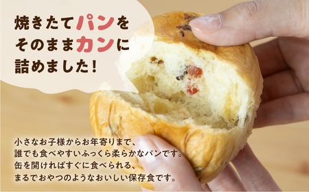 【レーズン 12缶】備えて安心、食べて満足『パンカン！』12缶セット  防災グッズ