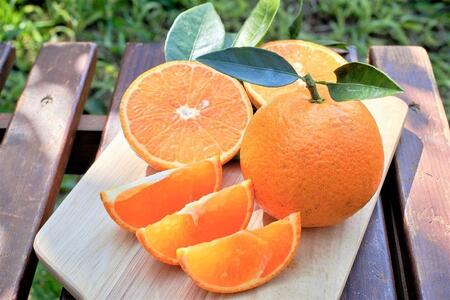 ＜先行予約／数量限定＞【市橋農園】屋久島産たんかん 3キロ箱（秀品／贈答用としても)