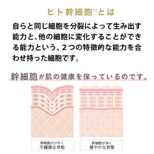 《9月末までの限定寄付額》【ジョワセリュール】ヒト幹細胞エキス配合 ローション［ 京都 美容 ブランド 美肌を叶える化粧水 エイジングケア シワ・タルミ・シミ対策 人気 おすすめ 化粧水 スキンケア 
