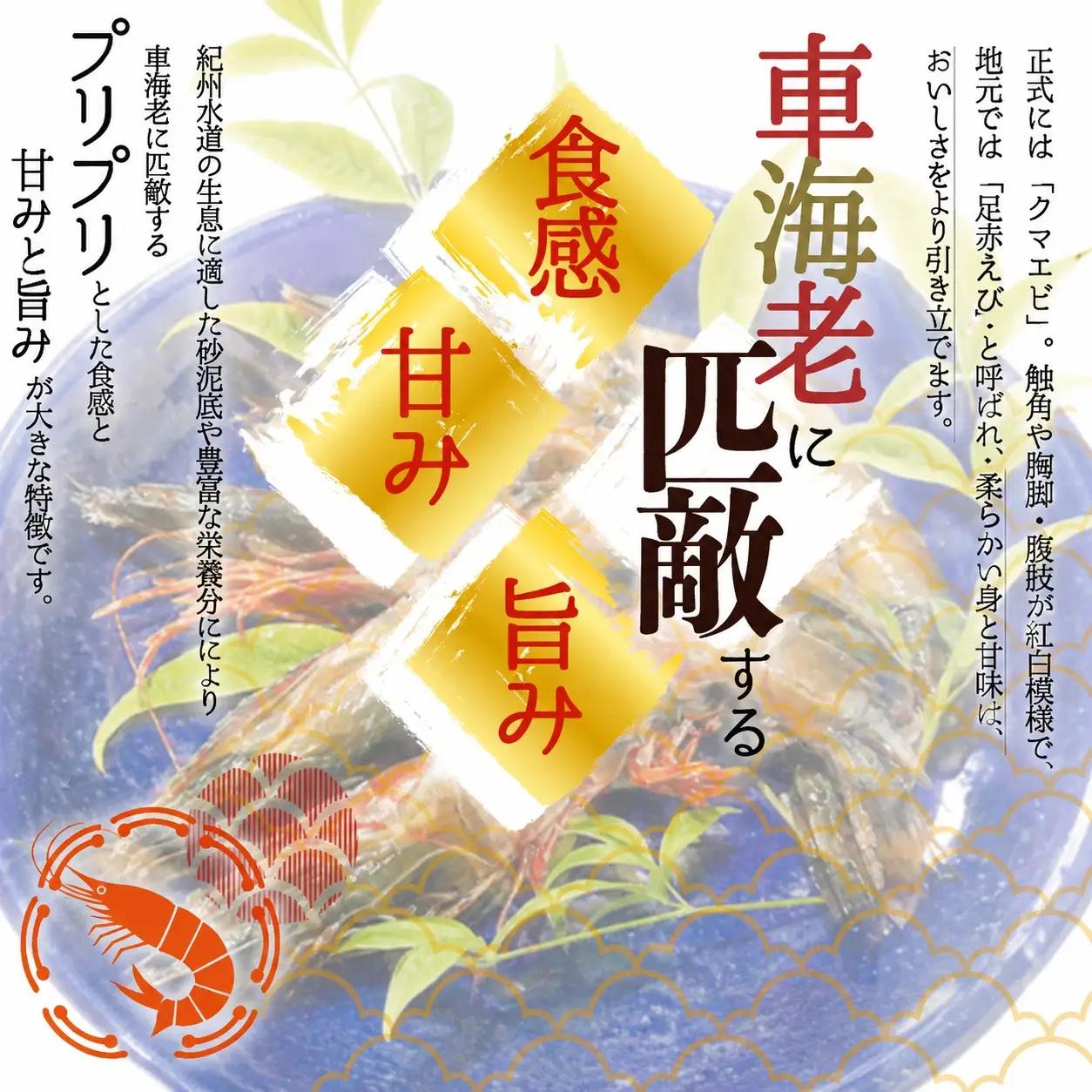 紀州和歌山産天然足赤えび540g×2箱（270g×4パック）化粧箱入 ※2026年12月上旬〜2027年2月上旬頃順次発送予定（お届け日指定不可）【uot773A】
