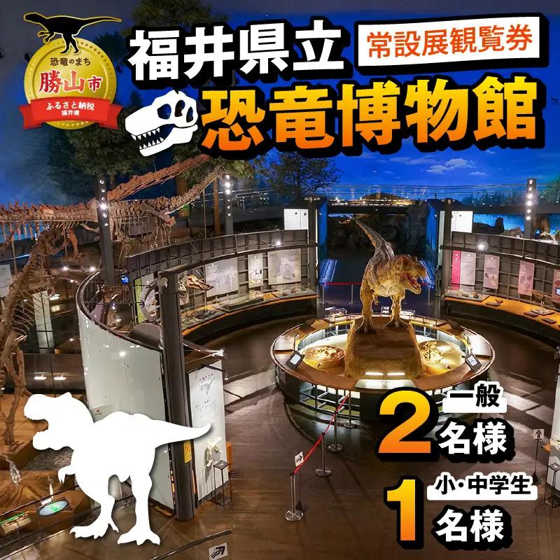 恐竜博物館 常設展 観覧券 一般2名 小中学生1名 恐竜博物館