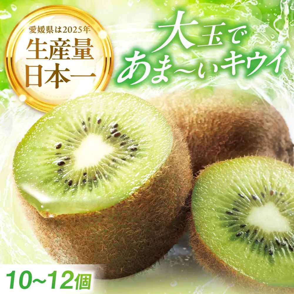 キウイ キウイフルーツ 10個-12個入り（L-3L）[AGBD009]