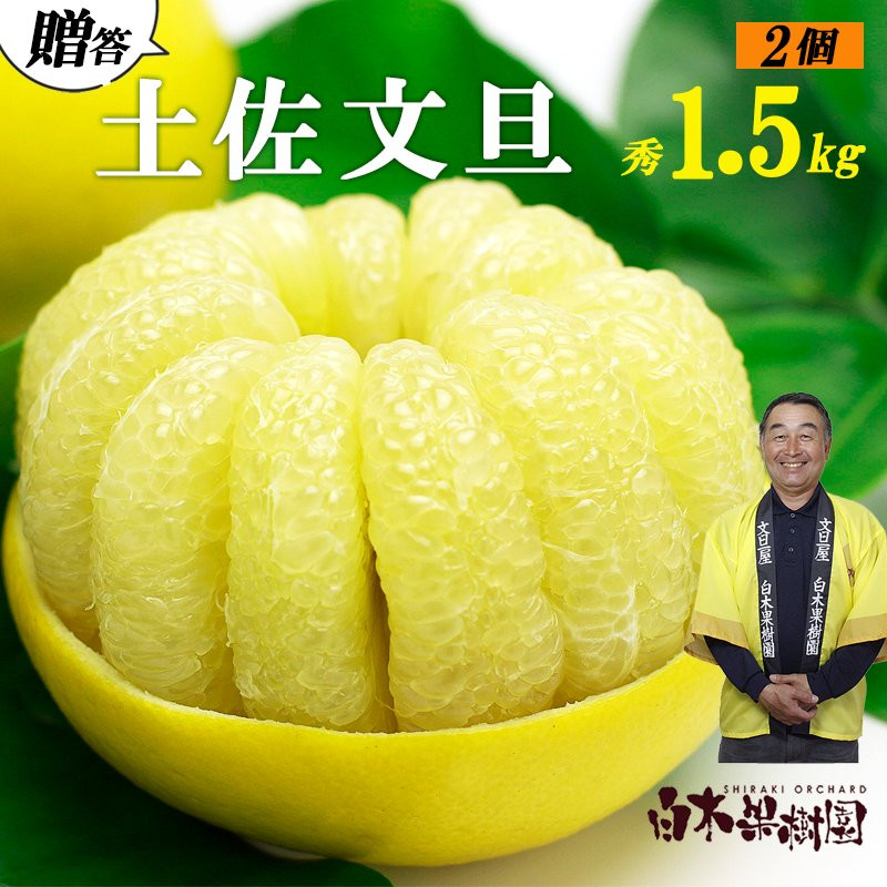 
            【果樹園直送】土佐文旦　4L　2個入り　1.5kg 大玉　特選品贈答用　果物　柑橘　フルーツ　ぶんたん　ブンタン　分担　高知県土佐市　お取り寄せ 産地直送　おいしい 美味しい　返礼品　白木果樹園
          