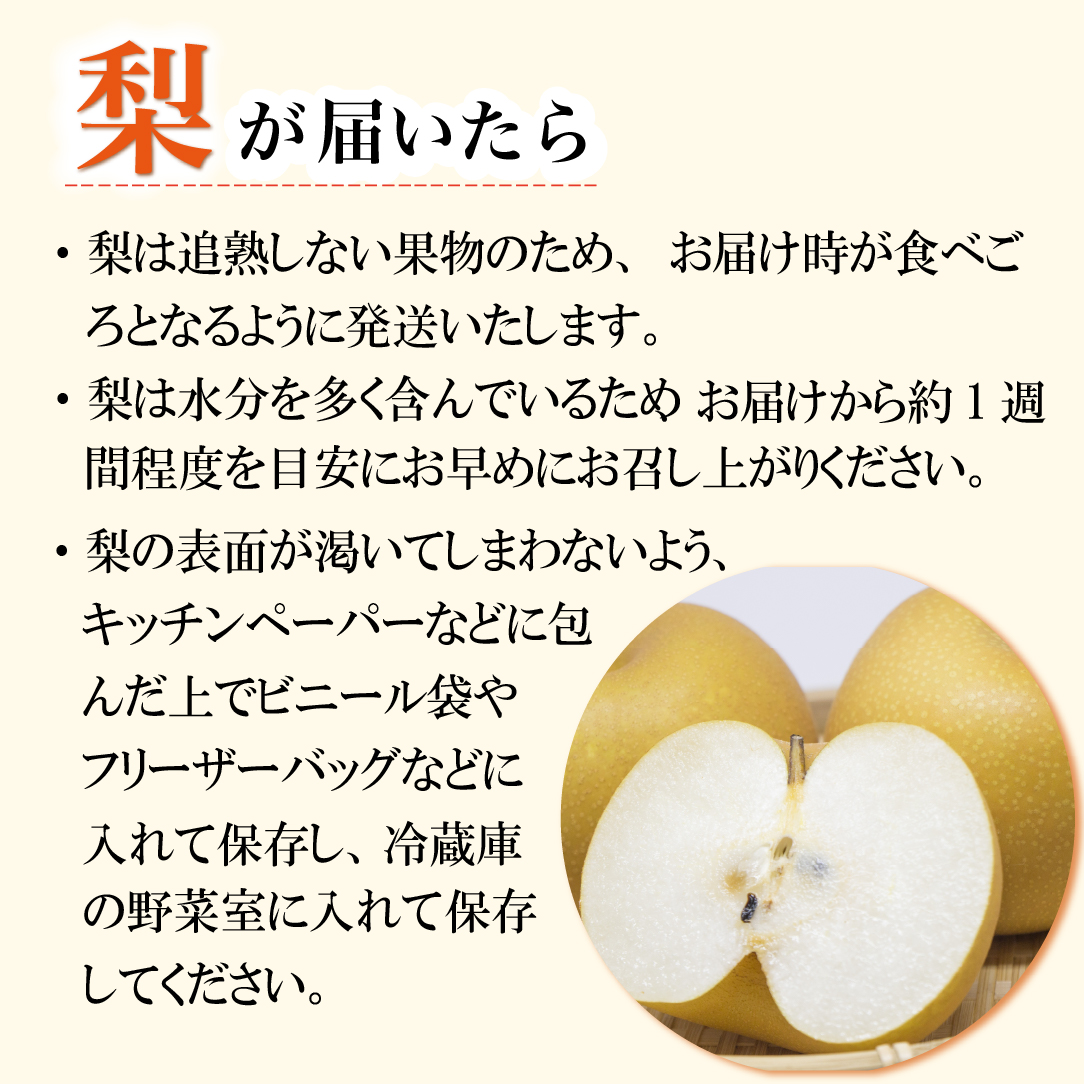 【産地直送】小林市産 旬の梨 3kg(梨 ナシ なし フルーツ 果物 くだもの 限定)