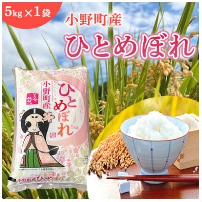 
                  ＜毎月定期便＞福島県小野町産ひとめぼれ 精米 5kg(5kg×1袋)全3回【4081911】
                