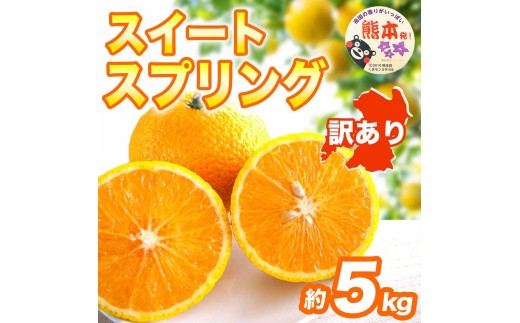 先行予約 訳ありスイートスプリング 約5kg 【2027年1月中旬～2027年3月上旬発送予定】みかん オレンジ 果物 フルーツ くだもの 柑橘 柑橘類 フルーツ 国産 熊本 熊本県 九州 産地直送 わけあり ワケアリ 日本フルーツ