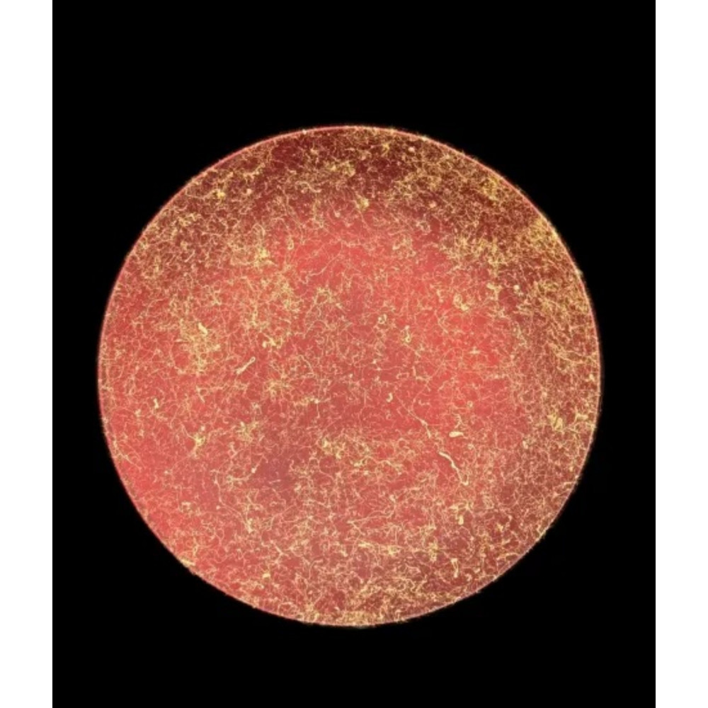 フラットプレート（D）乱糸（マット仕上げ）赤溜［NF107］ 303446_CU90049VC02