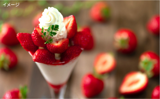 【先行予約】糸島産【冬】 あまおう 4パック 【2024年12月上旬以降順次発送】《糸島》【南国フルーツ株式会社】 [AIK006]