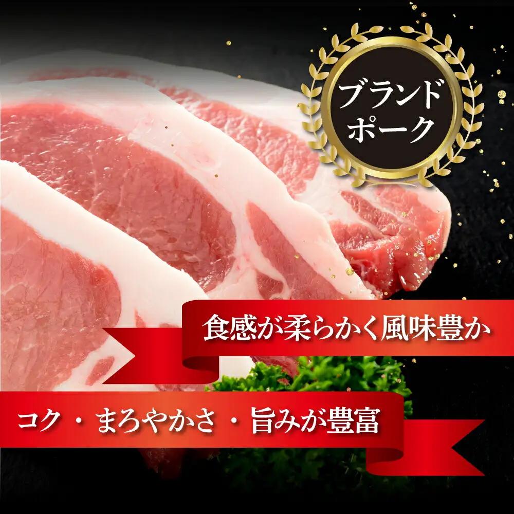 湯煎するだけ！土佐あかうしと四万十ポークのハンバーグ　１５個セット