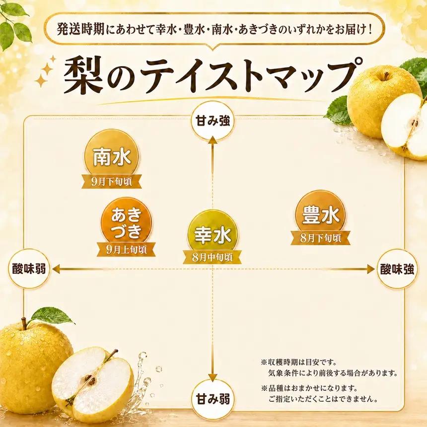 南信州産 訳あり 梨 約3kg 【2026年先行予約】