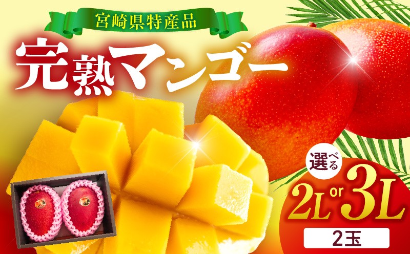 
                  【選べるサイズ】宮崎県産 完熟マンゴー 2玉 2～3L
                