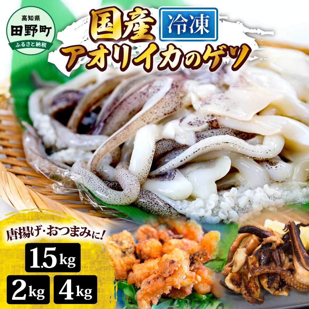 【ふるさと納税】イカ イカゲソ 選べる内容量 1.5~4kg 1パック500g アオリイカ ゲソ いか 烏賊 魚介類 げそ いかげそ 唐揚げ げそ天ぷら おつまみ 美味しい 柔らかい 冷凍 配送 国産 高知県 田野町 イカの足 アオリイカのゲソ 業務用 BBQ 海鮮 下足 イカゲソ焼き イカ焼き