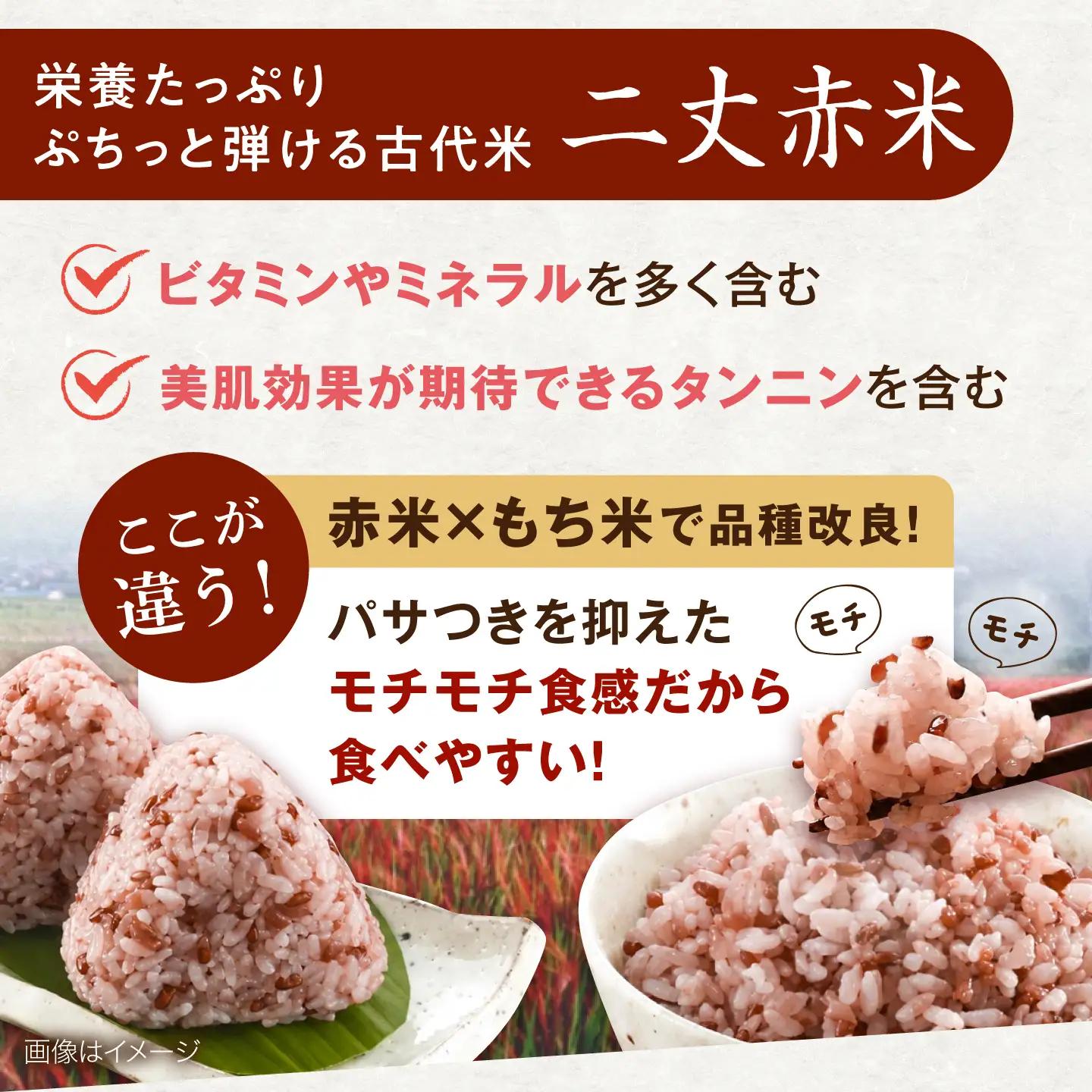 全10回 定期便 （月1回） 赤米 ・ 黒米 ・ 雑穀米 健康 ごはんの お米セット 二丈赤米産直センター [ABB019]