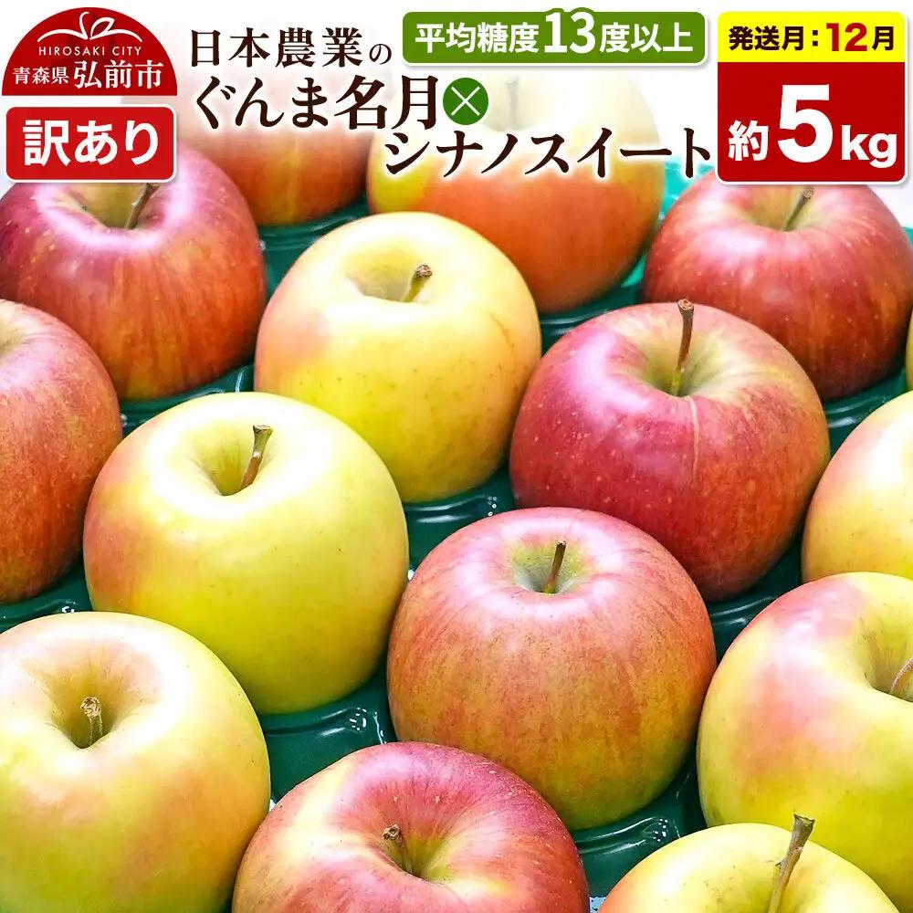 【26年12月発送】りんご ぐんま名月×シナノスイート【訳あり】約5kg 平均糖度13度以上 青森県 弘前市 果物 フルーツ 林檎 リンゴ くだもの 不揃い 規格外 先行受付