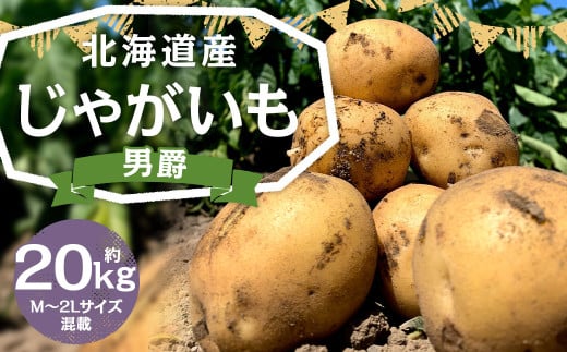 北海道産 じゃがいも 男爵 M～2Lサイズ混載 約20kg 1箱 山田農場 ジャガイモ 芋 いも イモ 国産 【2025年9月下旬-2026年3月上旬迄発送予定】