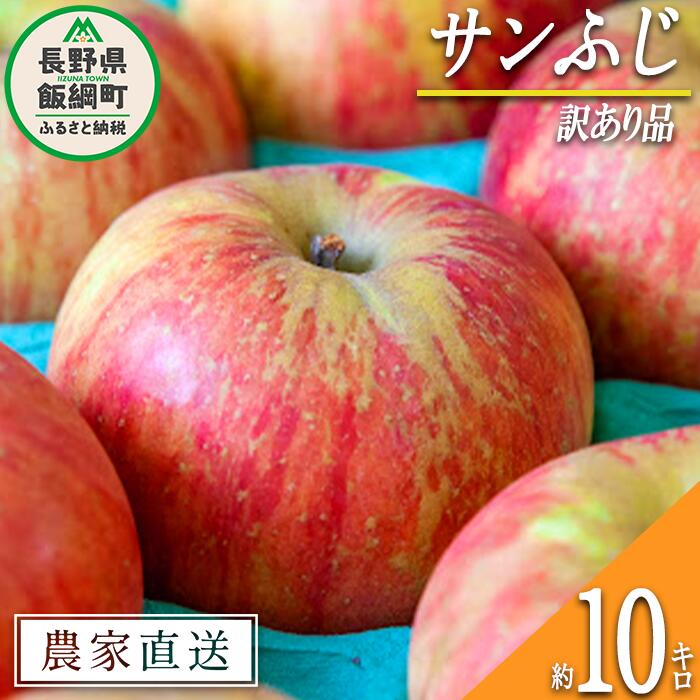【ふるさと納税】 りんご サンふじ 訳あり 10kg 永正の地蔵尊神谷農園 沖縄県への配送不可 令和7年度収穫分 長野県 飯綱町 〔 傷 不揃い リンゴ 林檎 果物 フルーツ 信州 長野 19000円 予約 農家直送 〕発送時期：2025年12月中旬〜2026年3月上旬 {*}