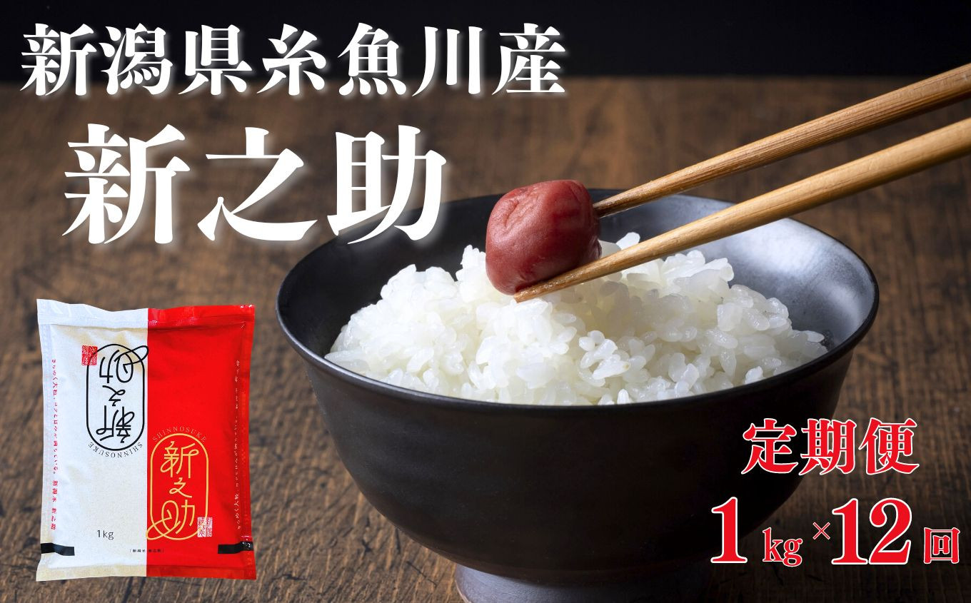 
令和6年産新米予約【定期便】新之助 1kg×12ヶ月 計12kg 早川の清流が育んだ美味しいお米 新潟県糸魚川産 2024年磯貝農場【毎月お届け しんのすけ 米 お米 こめ ご飯 ライス ふるさと納税米 食品 人気 おすすめ お弁当 おにぎり ギフト 新潟県の新しいブランド米 農家直送 1キロ 精米 12回 12か月 先行予約】
