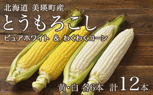 【先行予約】とうもろこし（黄・白）12本 <令和7年産 >株式会社 おおとり 美瑛産[014-75]