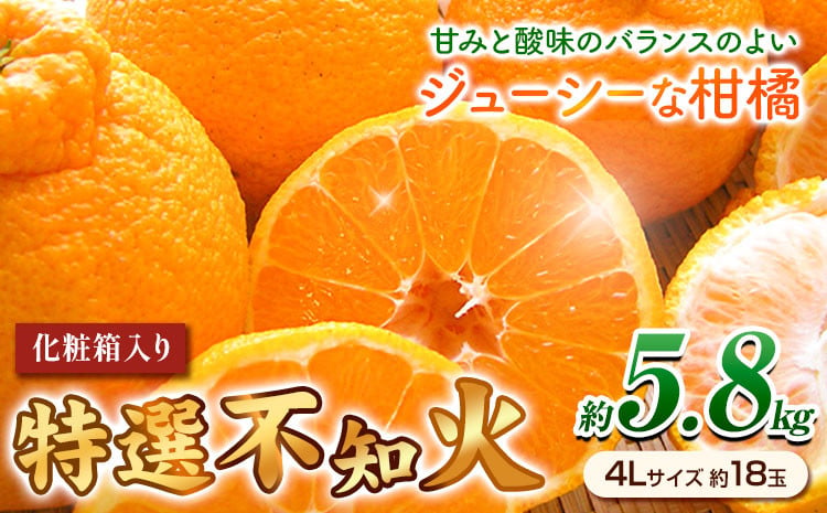 
                  ＜先行予約＞特選 不知火 ( デコポン )と同品種 約5.8kg（4Lサイズ18玉） 長岡農園《2027年2月中旬-4月上旬頃出荷》和歌山県 日高川町 果物 フルーツ 柑橘 不知火 しらぬい デコポン と同品種 約5.8kg 送料無料
                
