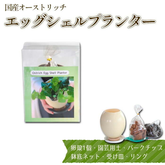 【ふるさと納税】 国産オーストリッチエッグシェルプランター ／ ダチョウ だちょう 卵 殻 貴重 園芸 植物 ガーデン 植栽 花 用土 バークチップ 鉢底ネット 受け皿 リング 趣味 可愛い おしゃれ 送料無料 埼玉県 No.231