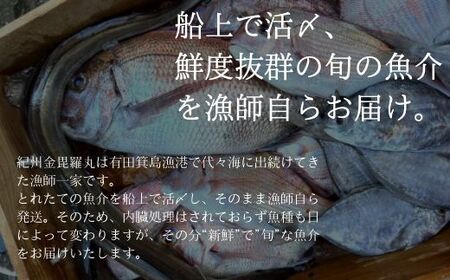 漁師の鮮魚箱（約4kg）(B890-3)