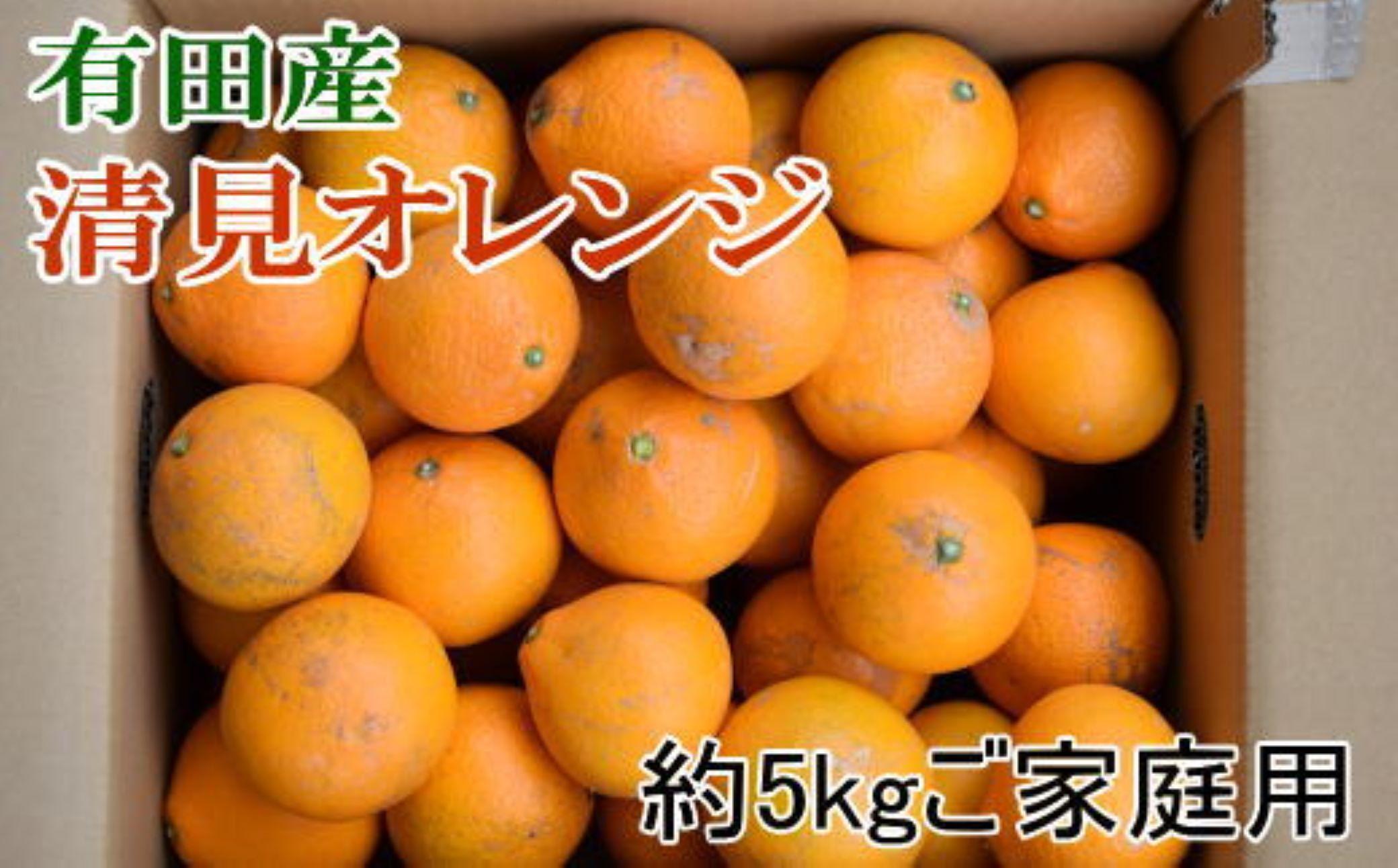 ★2026年2月中旬より発送★ ご家庭用 濃厚 有田産清見オレンジ約5kg サイズおまかせ または混合