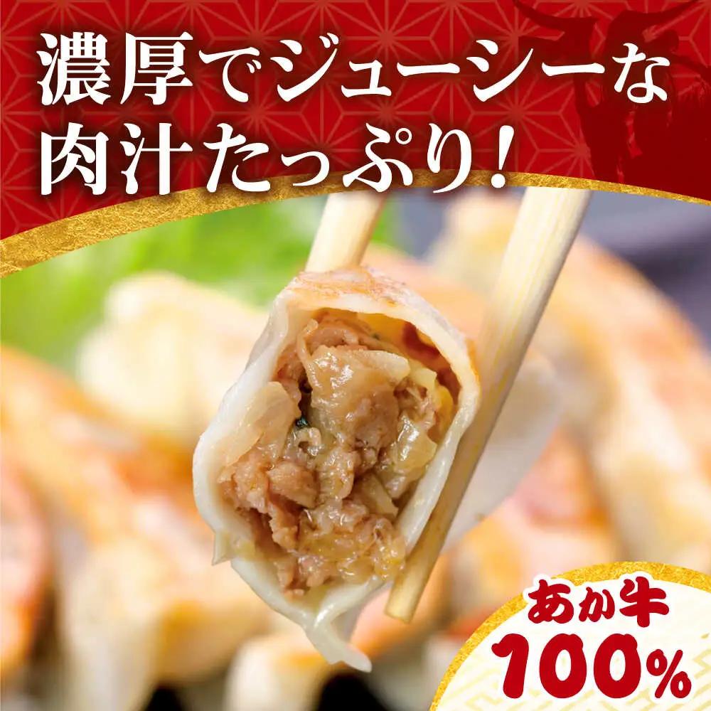 あか牛ぎょうざセット 60個  ぎょうざ[AYCQ003]