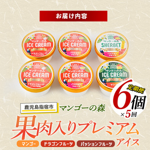 全５回 定期便 ゴロゴロ果肉入り アイス 6個入 スイーツ 定期便 マンゴーの森 IBZ040-003 定期便 定期便