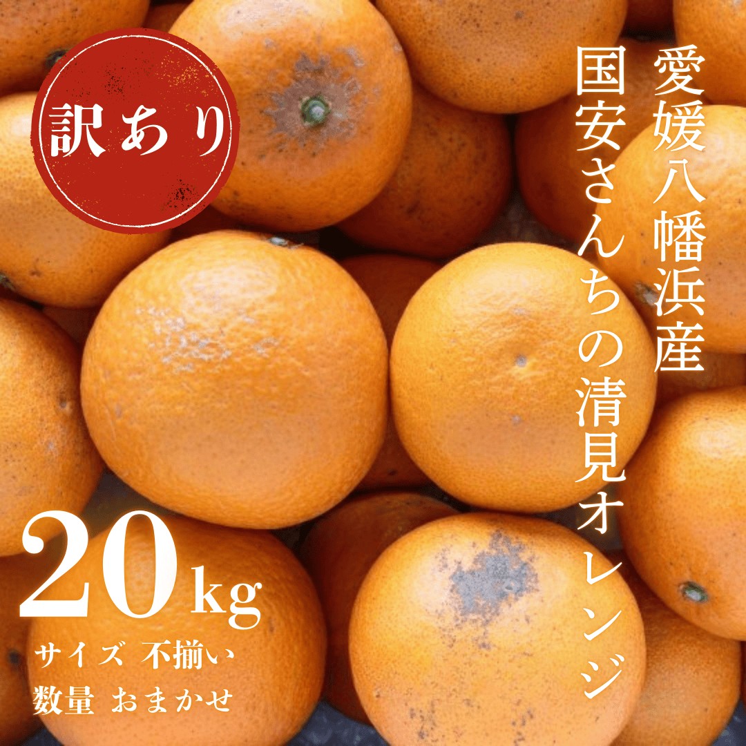
                  ＜まるで食べるジュース!越冬完熟品＞愛媛産 訳あり 清見オレンジ 20kg＜H20-35＞【1594863】 YWTI030
                