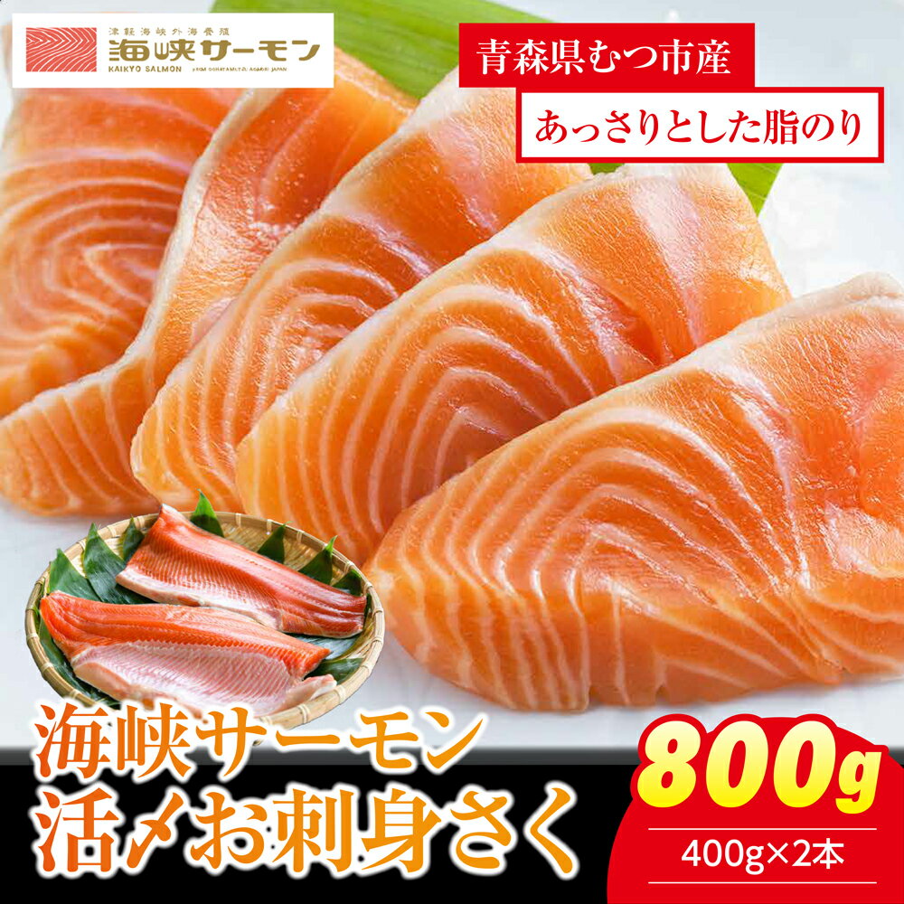 【ふるさと納税】海峡サーモン　活〆お刺身さく2本 800g むつ市 サーモン 切身 刺身 さく【配送不可地域：離島】