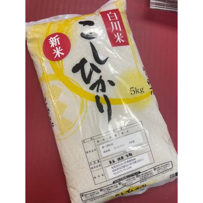ふるさと納税 白川町 白川米コシヒカリ　5kg
