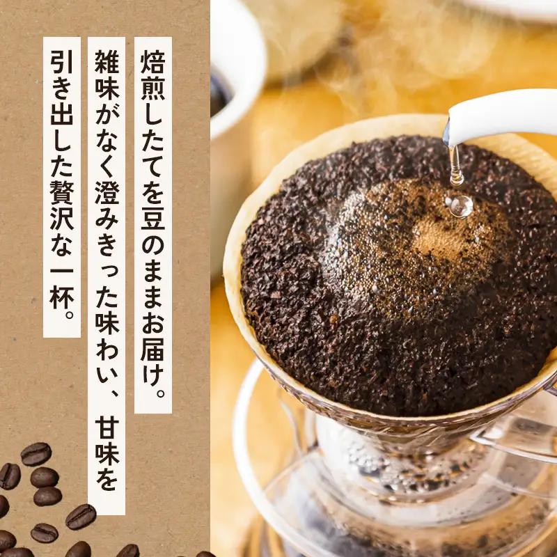 自家焙煎珈琲 こだわり コーヒー豆 400g （200g×2袋） 