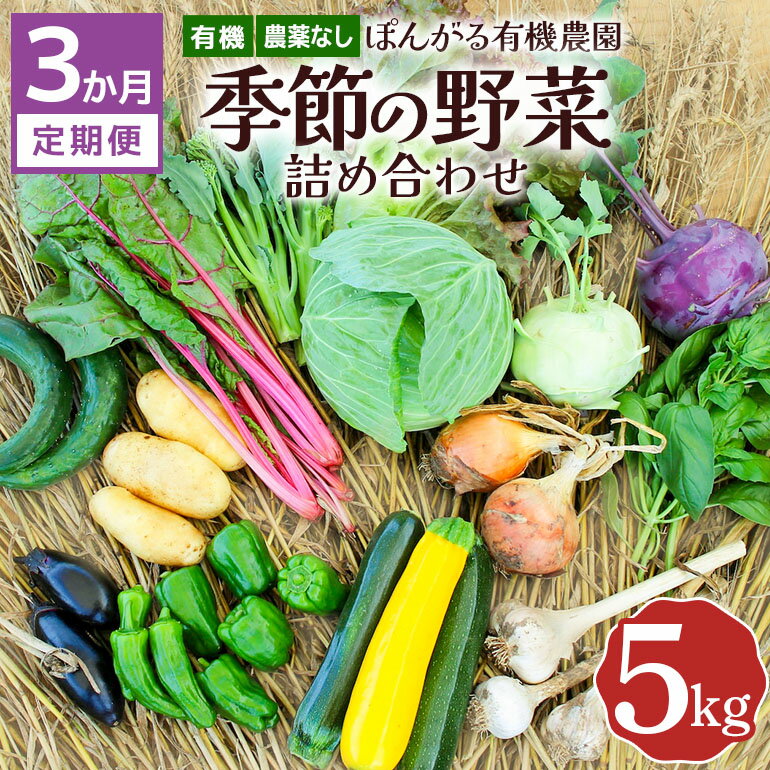 【ふるさと納税】【3か月定期便】定期便 オーガニック 有機 農薬なし ぽんがる有機農園 季節の野菜 詰め合わせ 5kg 【発送時期：5-12月】