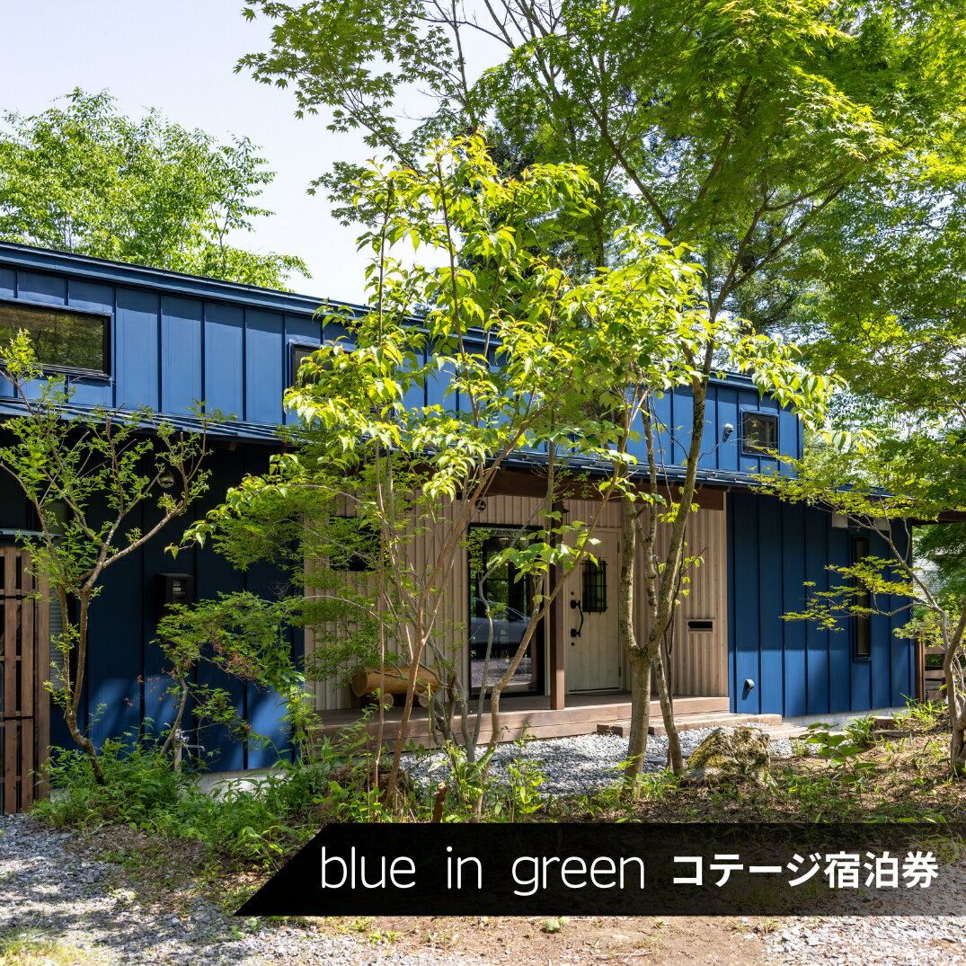 【ふるさと納税】blue in green cottage 宿泊券 2名様分 | 旅行 ワーケーション 宿泊 コテージ 高原 自然 季節 ひとり 家族 信州 アルプス 伊那谷 長野県 飯田市