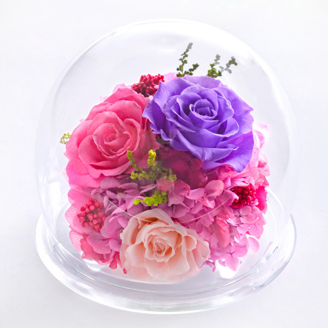 ガラスドームL 花 お花 プリザーブドフラワー ギフト プレゼント お祝い 誕生日 お供え アレンジ インテリア 東京都 墨田区【レッド】