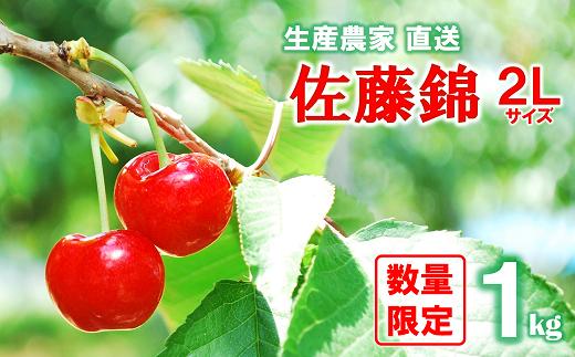 【令和7年産先行予約】 さくらんぼ 「佐藤錦」 約1kg (秀 2L) バラ詰め 《令和7年6月中旬～発送》 『田中農園』 サクランボ 果物 フルーツ 産地直送 生産農家直送 山形県 南陽市 [1428]