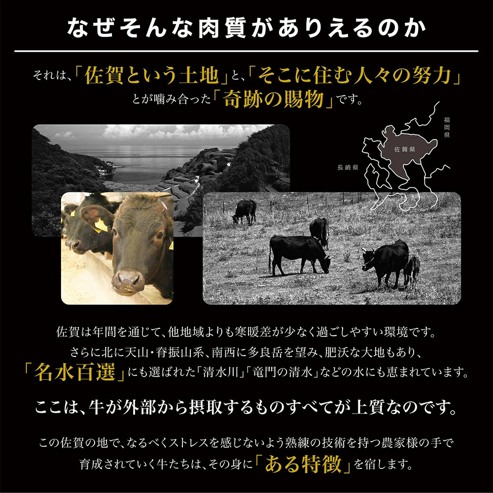 佐賀牛切り落としコウネちゃん300ｇ J786