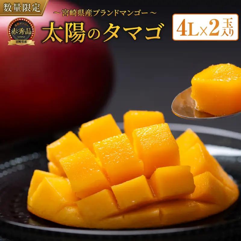 オンライン決済限定 完熟マンゴー 太陽のタマゴ 赤秀品 4L × 2玉 期間限定 数量限定 マンゴー 宮崎 フルーツ 果物 くだもの 国産 食品 先行予約 2026 令和8年発送 濃厚 デザート おや