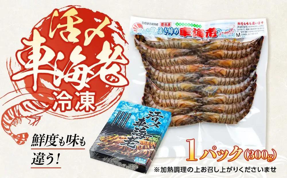 鹿児島県産 活き〆冷凍 車海老（養殖）Mサイズ300g（17～20尾）1パック セット【 エビ】