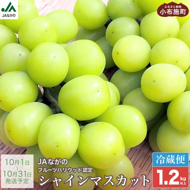 【ふるさと納税】シャインマスカット 約1.2kg ［JAながの］ 果物 フルーツ 旬 ぶどう ブドウ くだもの 葡萄 長野県産 種なし 先行予約 数量限定 クール便 冷蔵便 産地直送 フルーツハリウッド 令和7年産 【2025年10月発送】