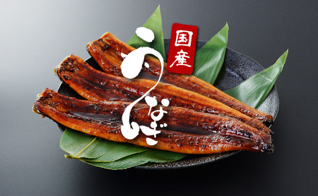 うなぎ白焼き 800g (200g×4尾) 