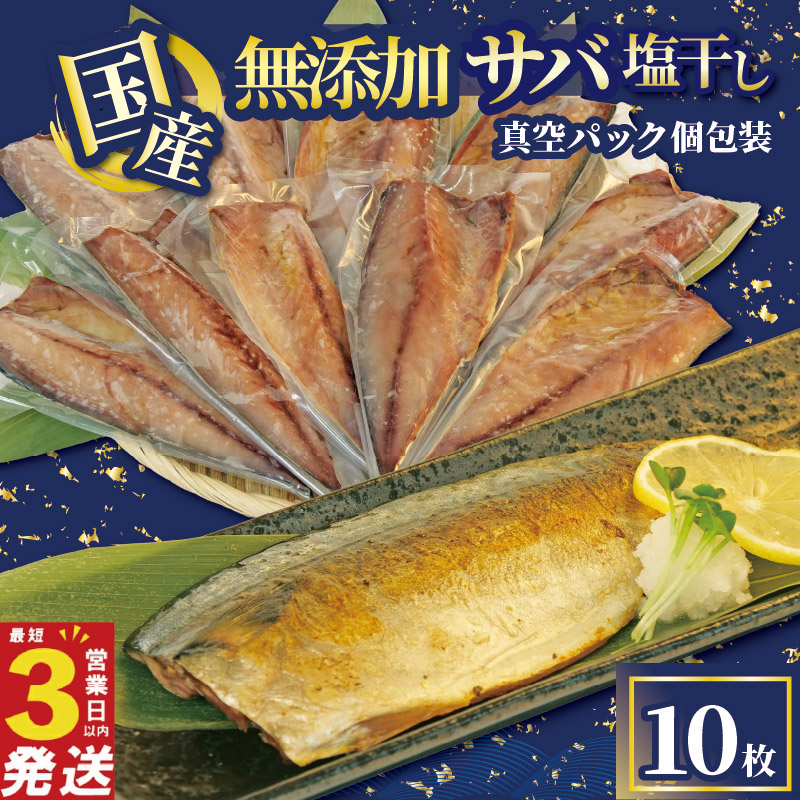 さば 干物 10枚 国産 無添加 サバ 塩干し 真空パック 個包装 焼くだけ 簡単調理 3営業日 以内 スピード発送 鯖 ギフト 贈答用 ひもの 惣菜 おかず 静岡 沼津