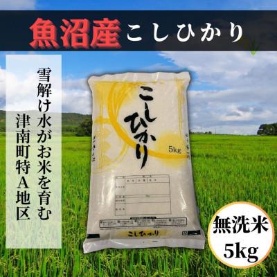 ふるさと納税 津南町 【先行予約】【令和8年産】 魚沼産コシヒカリ 無洗米5kg 魚沼地域津南町の美味しいお米